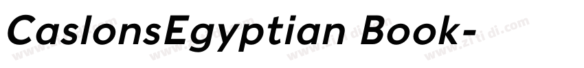CaslonsEgyptian Book字体转换 CaslonsEgyptian Book字体转换